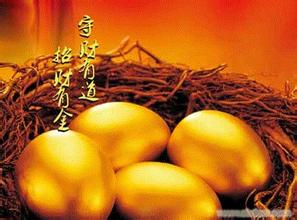 新疆金信诚投资担保有限公司